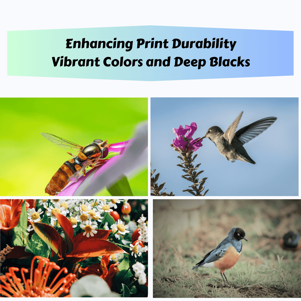 TN227 Compatible Set of 4 Toner Cartridges High Yield TN223 - TN-227 for Brother HL L3210CW L3230CDW L3270CDW L3290CDW and MFC L3710CW L3750CDW L3770CDW PRINTOXE Toner Cartridges